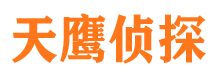 临海侦探社